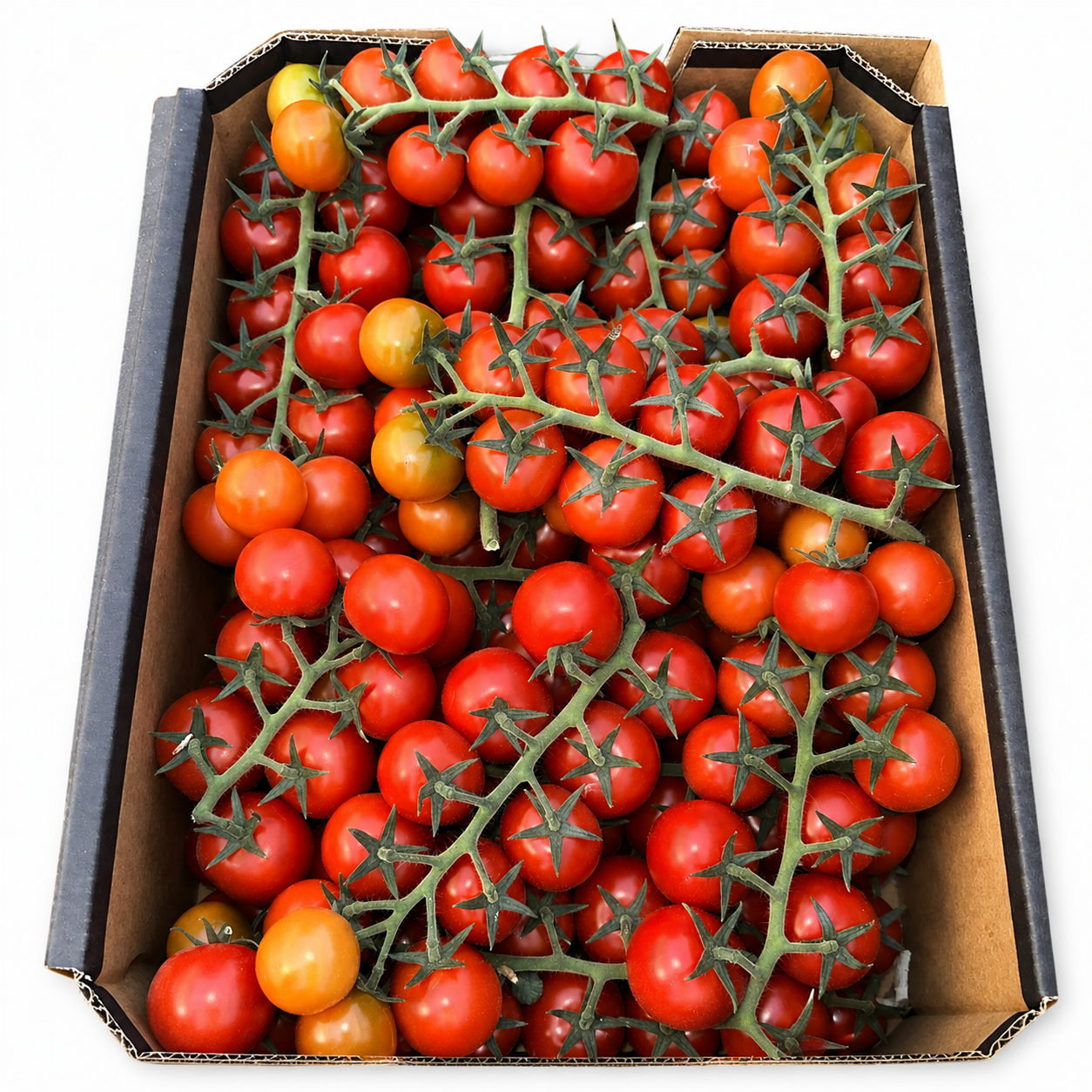 Real H.S.K farm cherry truss tomato box on a white background
